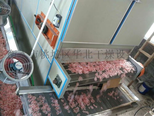 衡水干燥設(shè)備廠與衡水市桃城區(qū)華北干燥設(shè)備廠 專業(yè)干燥設(shè)備供應(yīng)商概覽